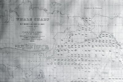 Whale Chart of the North Pacific, 1851 by American School